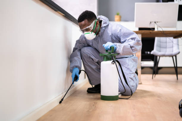 Real Estate Pest Inspections in Malvern, AR